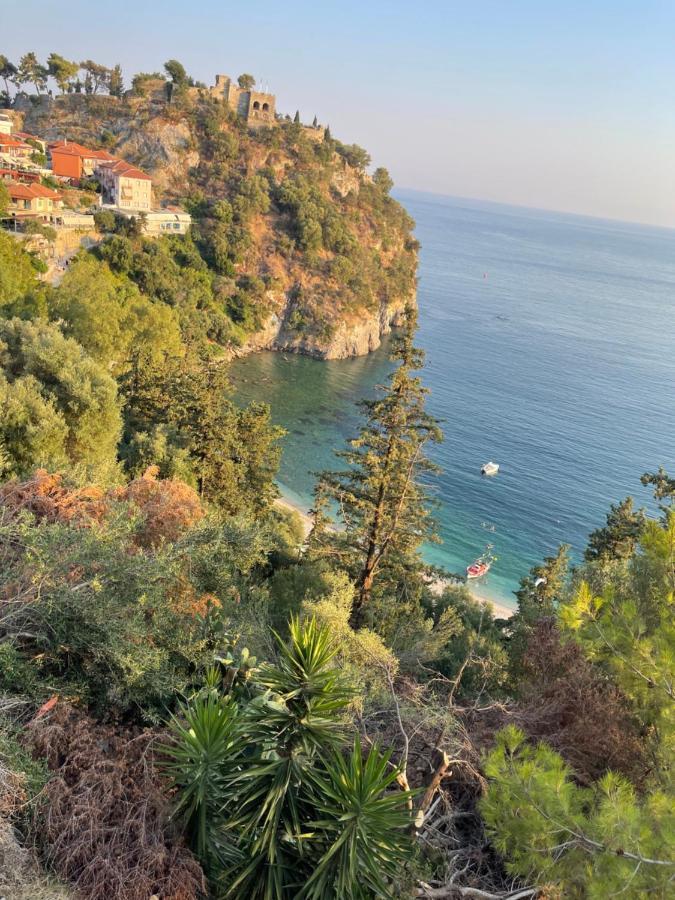 Pargas Paradise